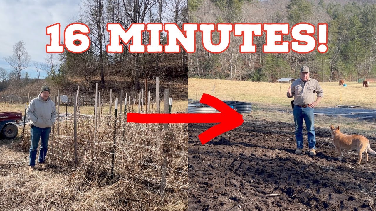 I Cleaned the WHOLE Garden in 16 Minutes (Here's How)