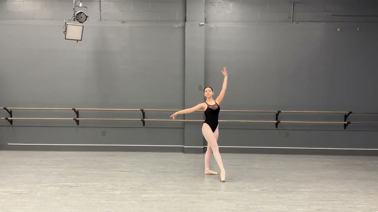 Ballet Austin Audition Rachel Visosky Classwork