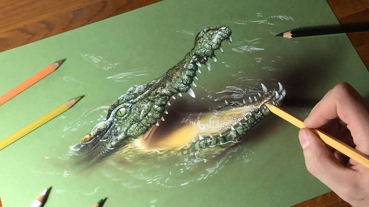 How to draw a crocodile on green paper - Time Lapse (long version)