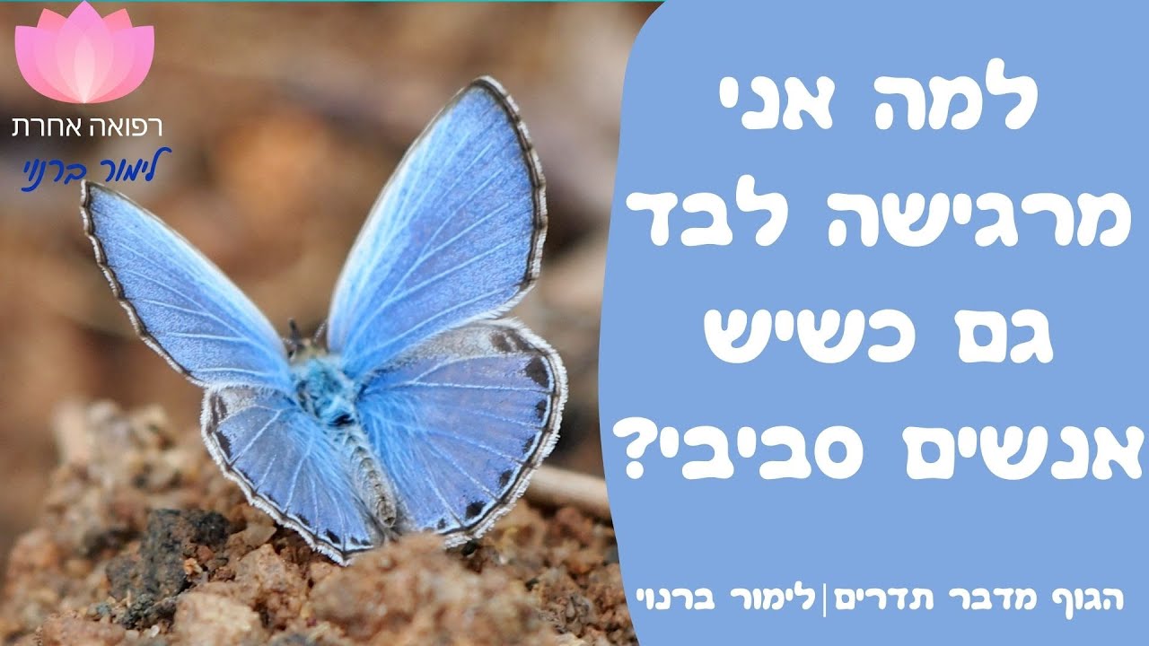 למה אני מרגישה לבד גם כשיש אנשים סביבי? | הגוף מדבר תדרים- לימור ברנוי