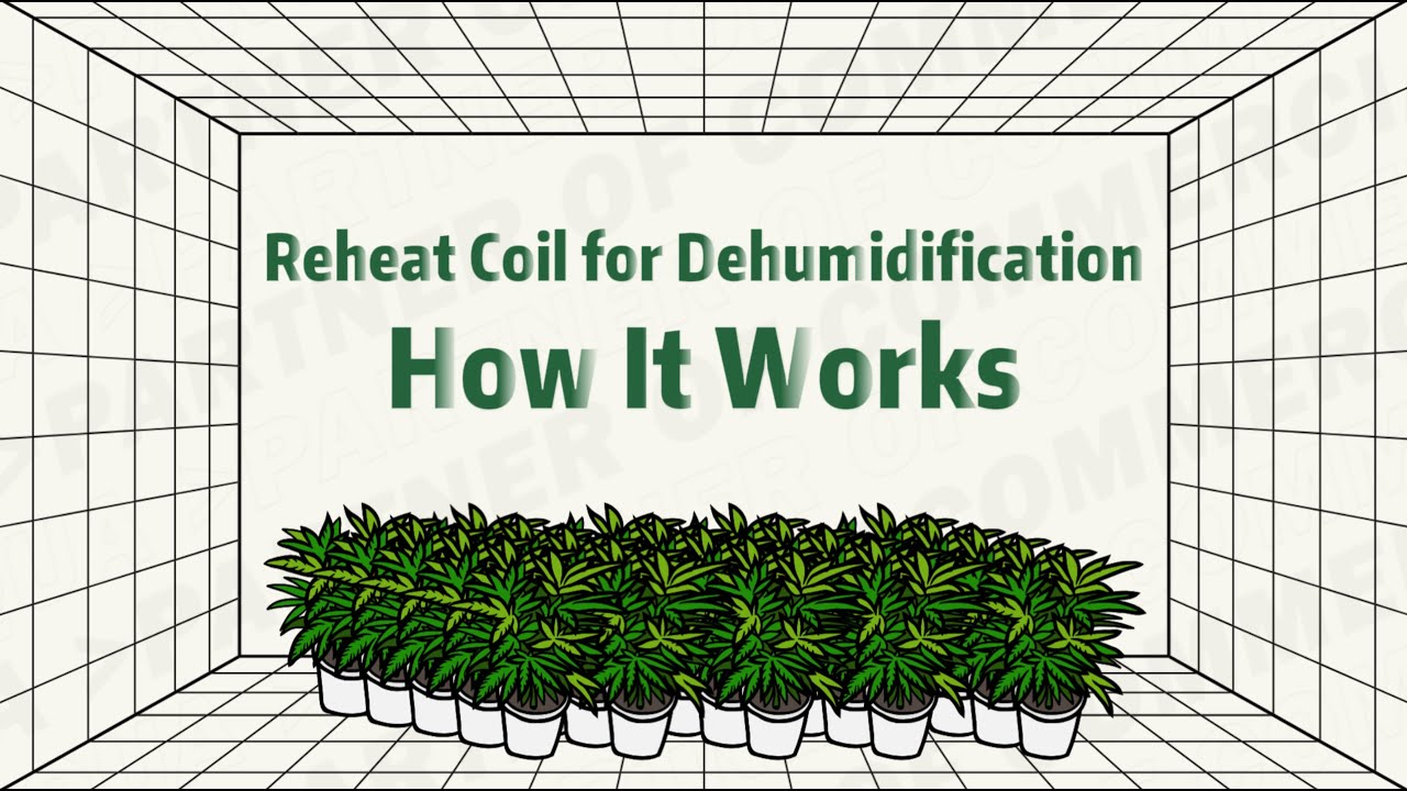 Altaqua Blog | How Altaqua HVAC System Uses Reheat Coil for Dehumidification