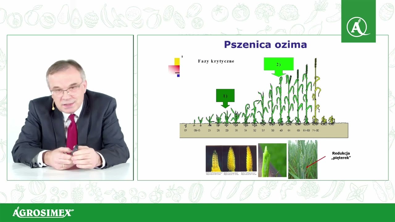 Czynniki warunkujące efektywność nawożenia azotem - nagranie Konferencji Rolniczej Agrosimex