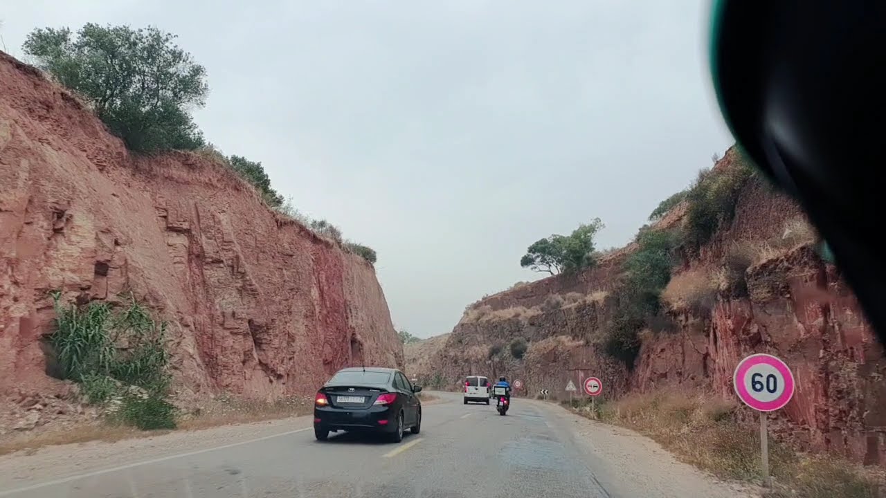 طريقنا للسوق كله جمال و طبيعة في المحمدية