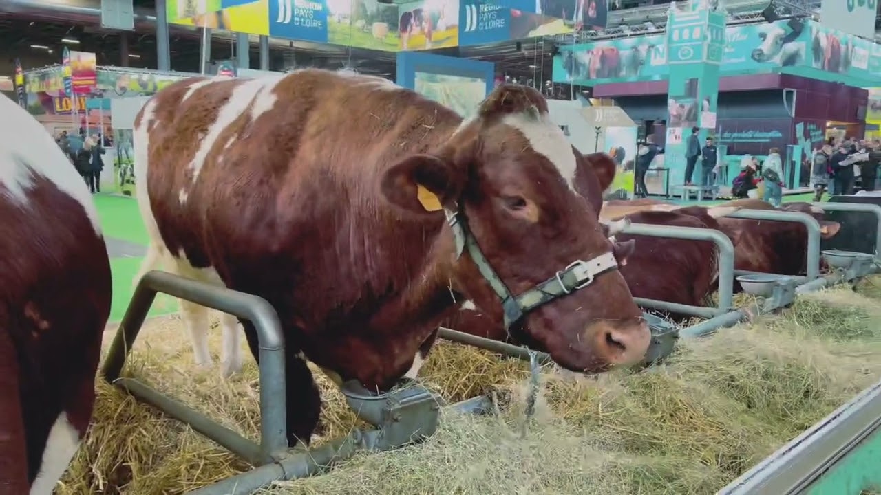 SALON DE L'AGRICULTURE 2023 IN PARIS | chapter 2