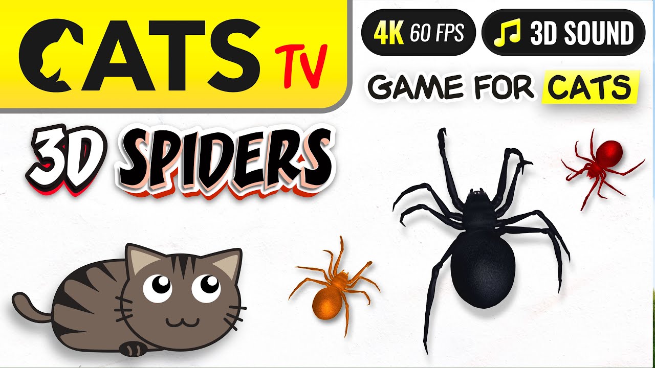 CAT TV - Fast spiders for CATS 🙀🕷️ bug cat games 😻📺 [4K]