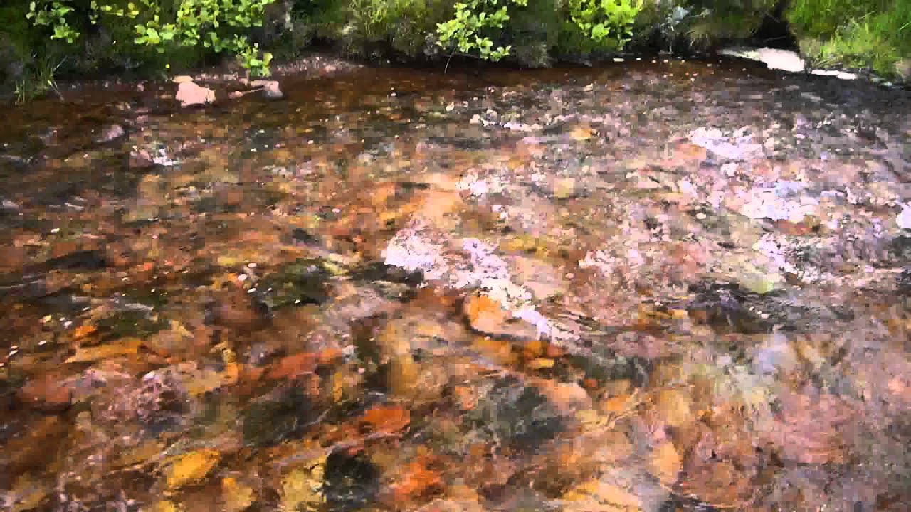 Shenavall river crossings