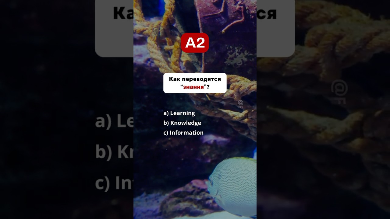 🇺🇸 Тест на знания Английского - A2 #english