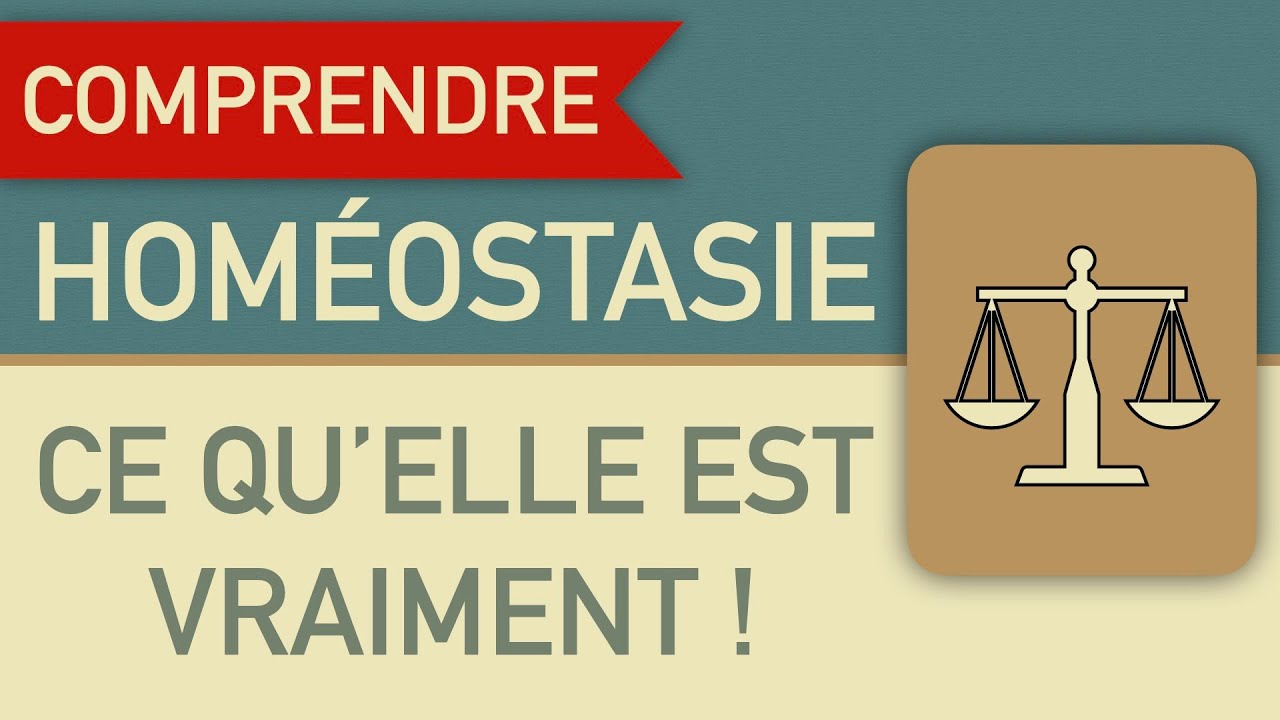 Homéostasie, la comprendre pour ne plus se tromper !