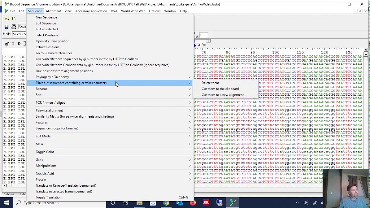 How to Delete Sequences with Ambiguity from an Alignment