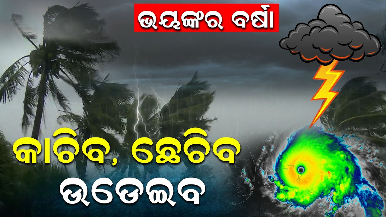 ଆସୁଛି ବଡ଼ ବର୍ଷା  | Odisha Weather | Rain Alert | Weather forecast | Odia News room | Odisha Rain