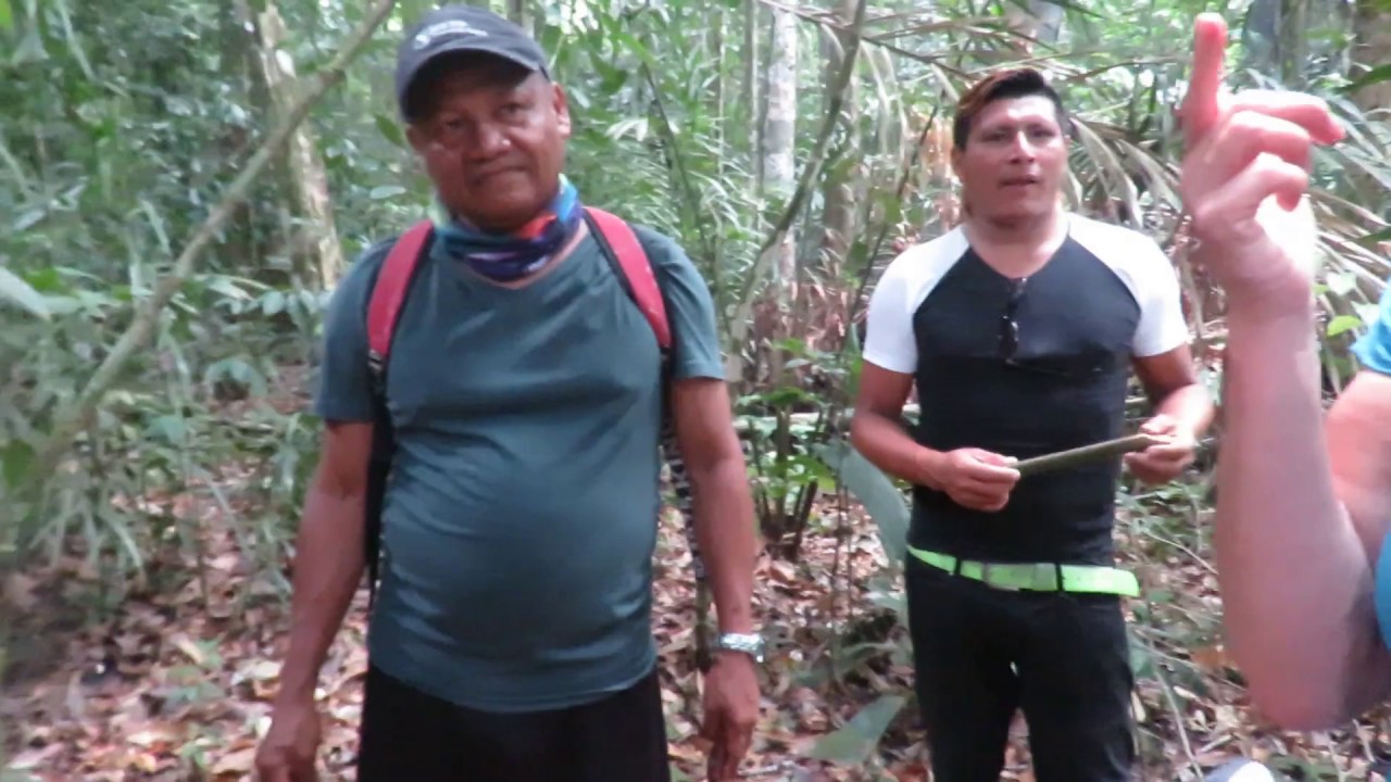Medicinale plantenwandeling in Suriname