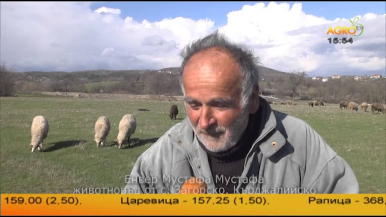 Овцевъди от двете страни на границата