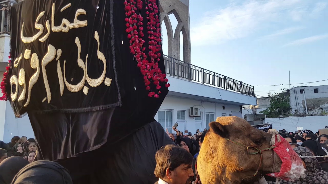 8th Rabiulawal 2017 -  Markazi Imambargah G-6/2 Islamabad.