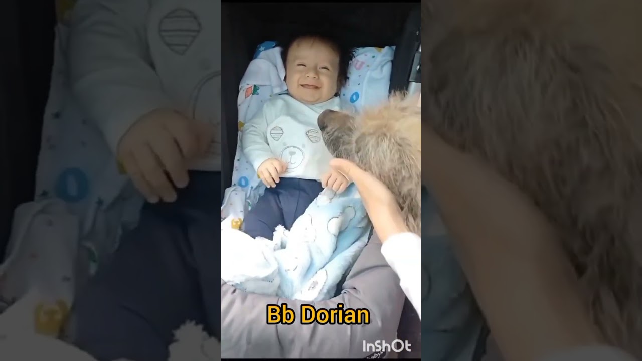 Acompañamiento de DoDo