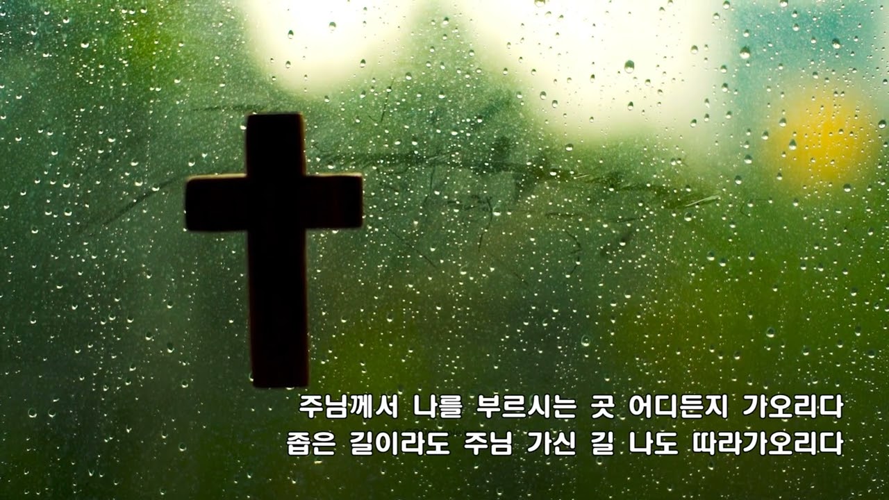 샘 곁에 심은 나무(나의 가는 길)