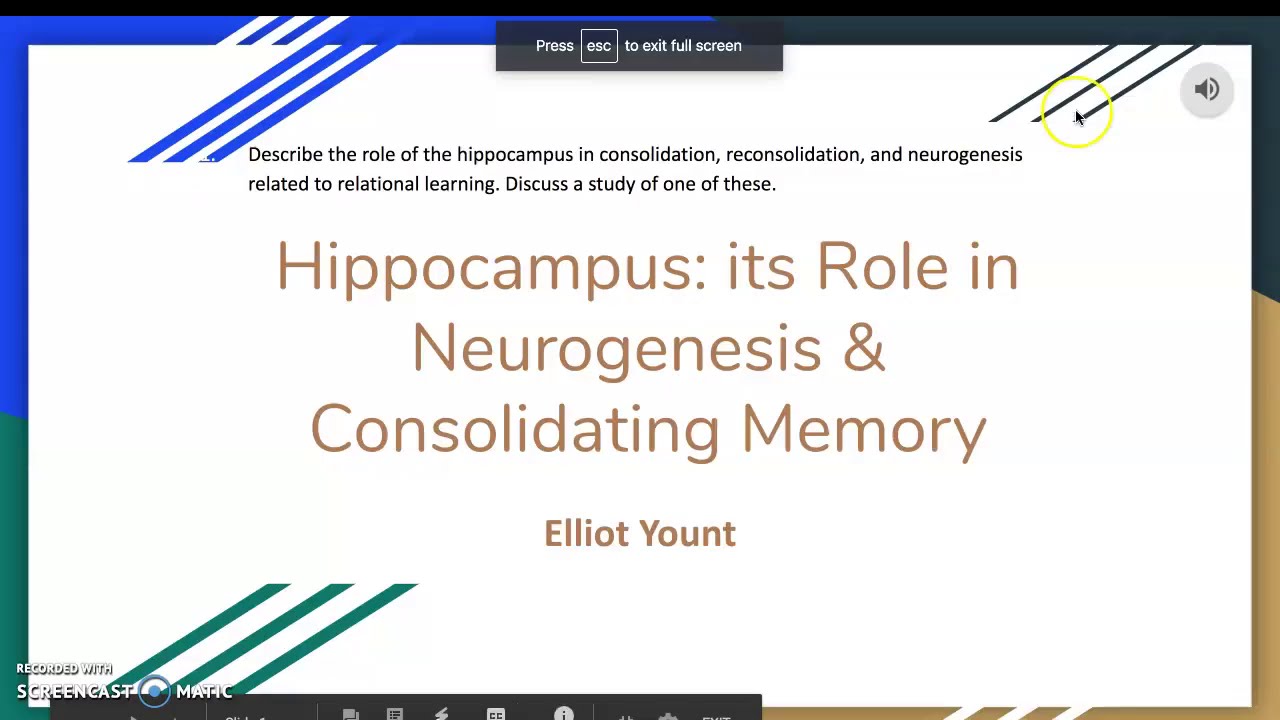 Hippocampal Neurogenesis & Consolidating Memory