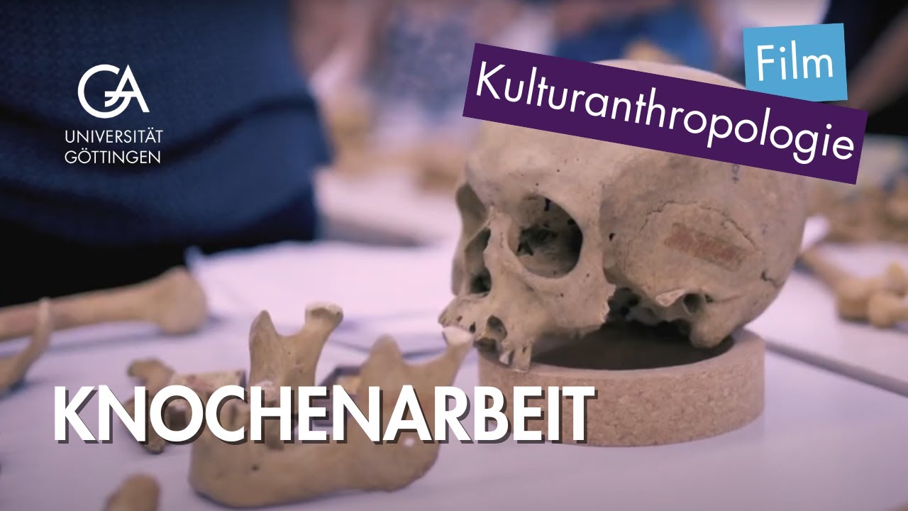 KNOCHENARBEIT &ndash; ein ethnologischer Blick in den Arbeitsalltag zweier Anthropologinnen