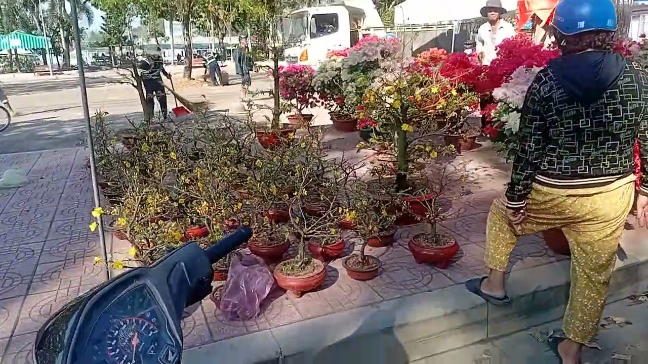 17 tháng 2, 2026camera hành trình sơ lược chợ bông phường Tân An-long an +TN ngày 29 Tết ta