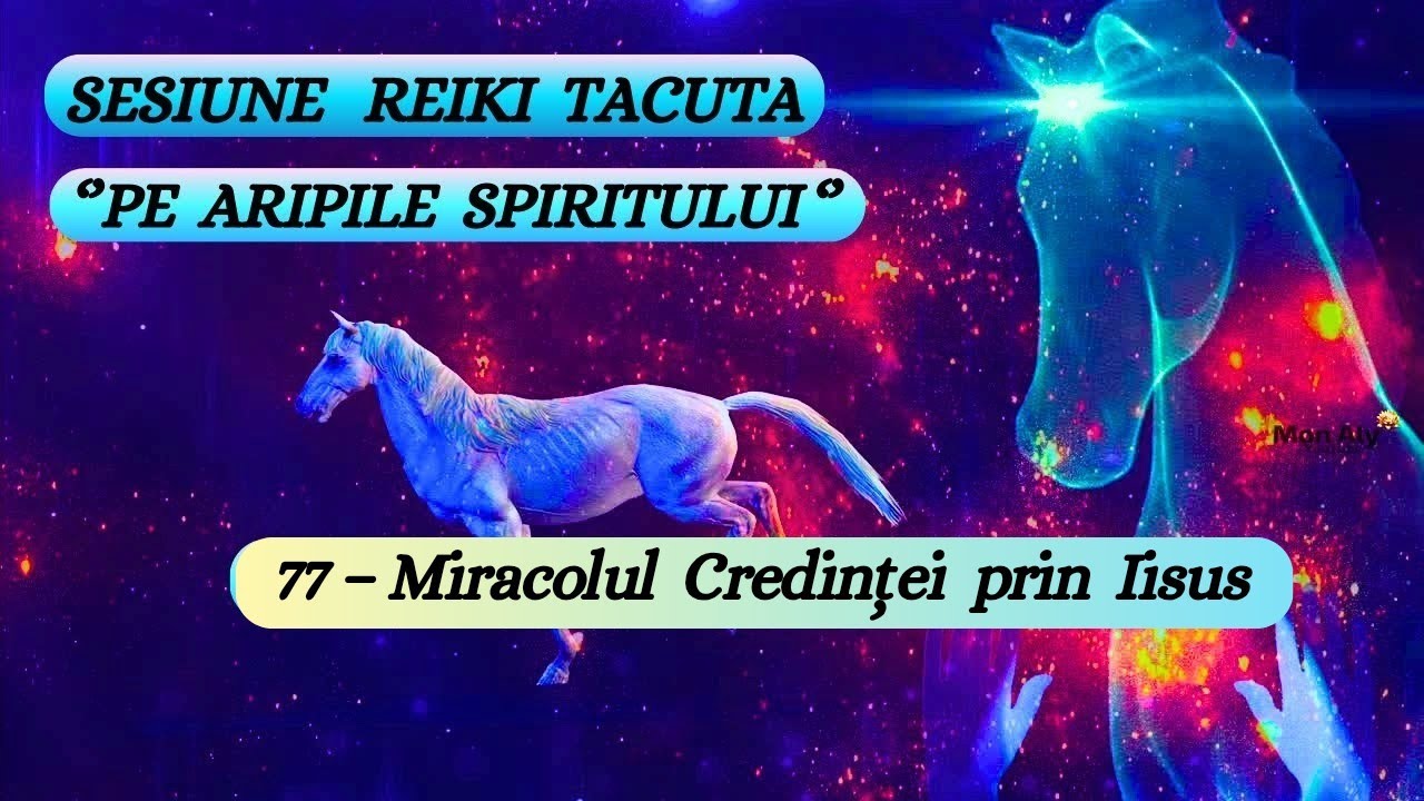 SESIUNE TACUTA - PE ARIPILE SPIRITULUI - 77 MIRACOLUL CREDINȚEI LUI IISUS 