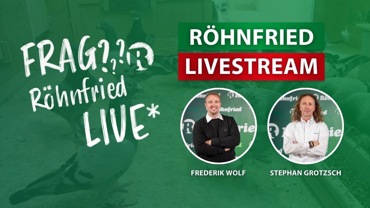 Frag Röhnfried - mit Stephan Grotzsch und Frederik Wolf vom 26.02.2026