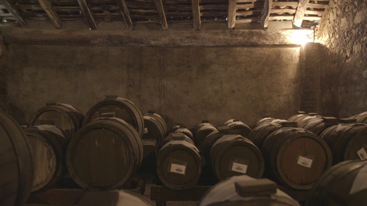 Venturini Baldini Corporate Video - ITA