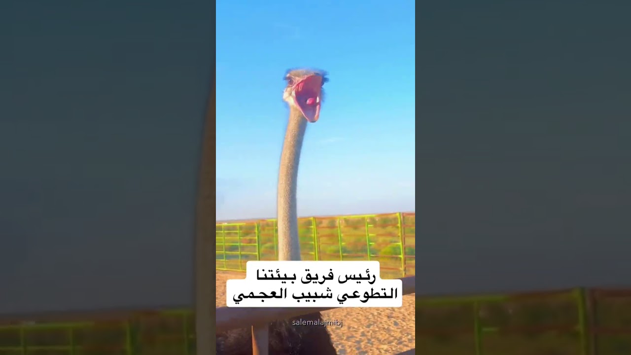اجمل وأكبر محمية للنباتات البرية في الكويت