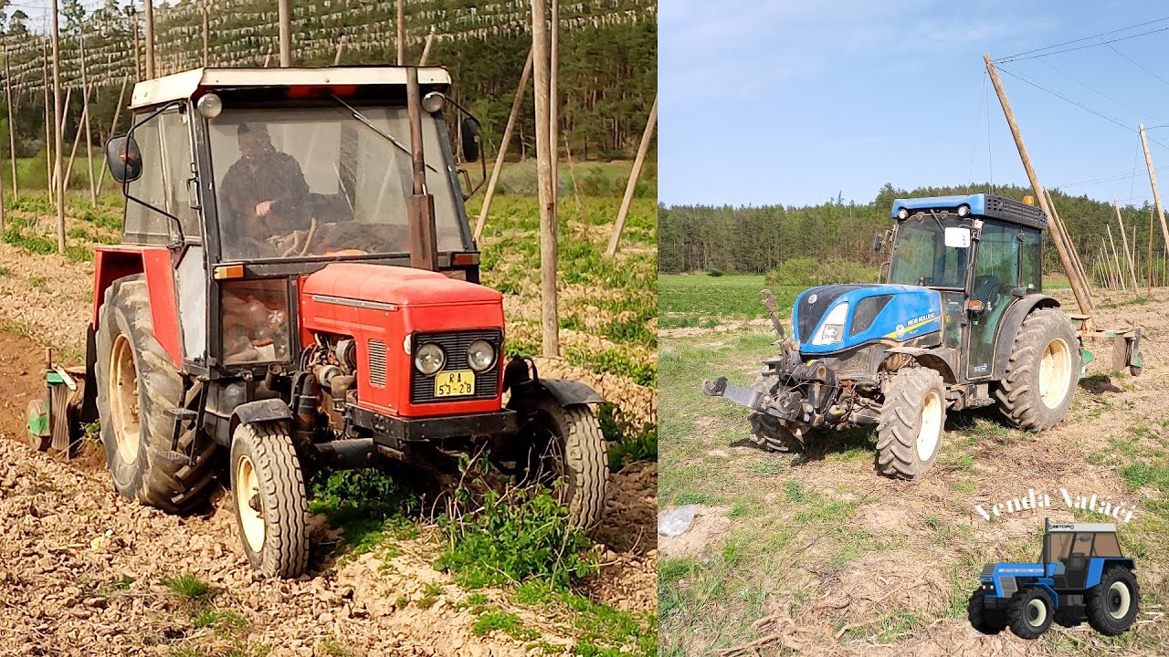 Řez chmel 2024 / Zetor 7011 & New Holland t4.100f / Porucha / Hřídel kaput!