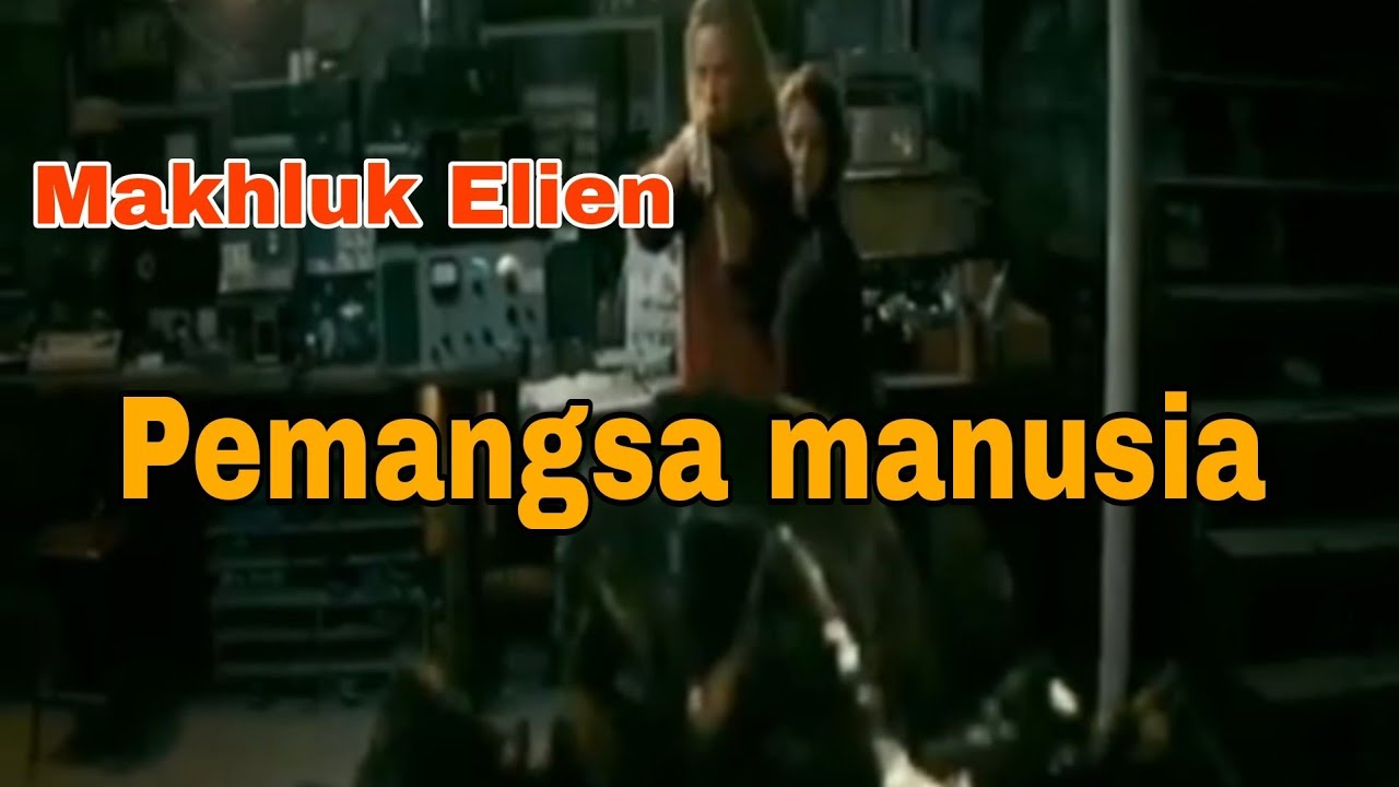 review film mantap mantap indonesia