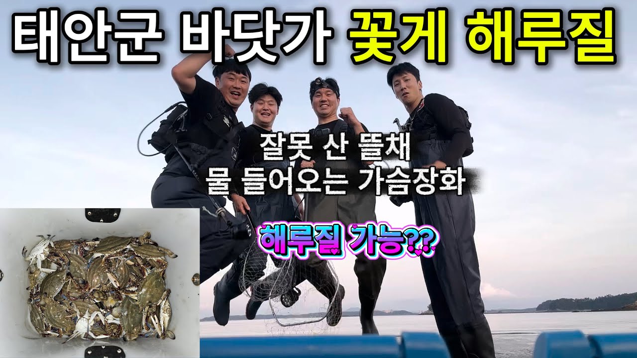 HRJ.1 태안군 꽃게해루질, 우당탕 쿠당탕 과연 잡을 수 있을까? (포인트 간략 설명은 후반부에!)