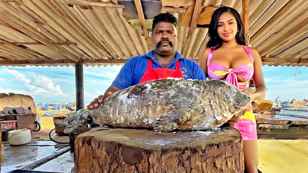 🔥😱 Never Seen Before! Seal Fish Cutting & Giant Fish Skills