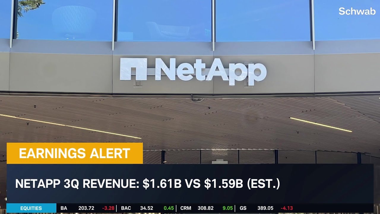 NTAP, ZS, DELL: Earnings Extravaganza