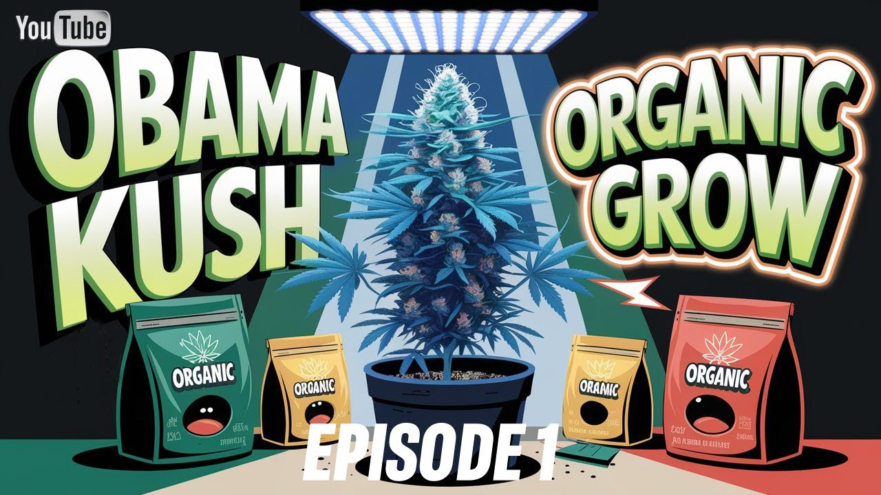 Obama Kush in Coco | Episode 1: The Journey Begins