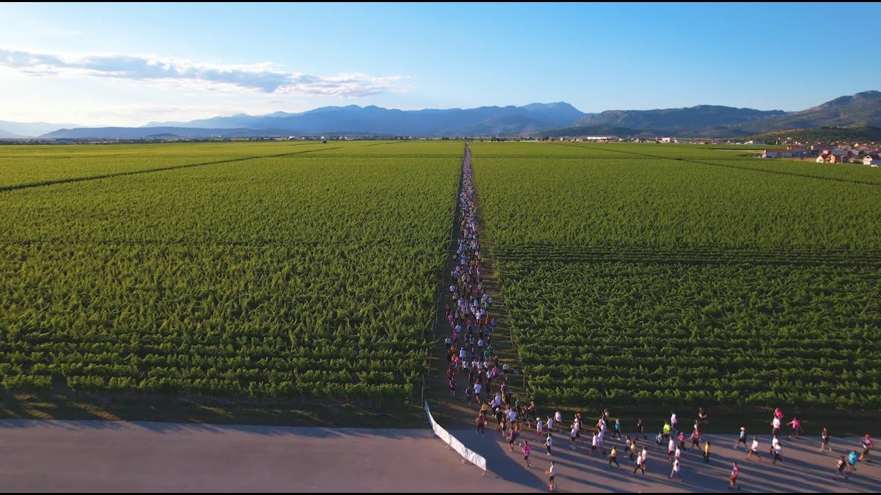 Telekom Montenegro Business Run 2024 - Highlights