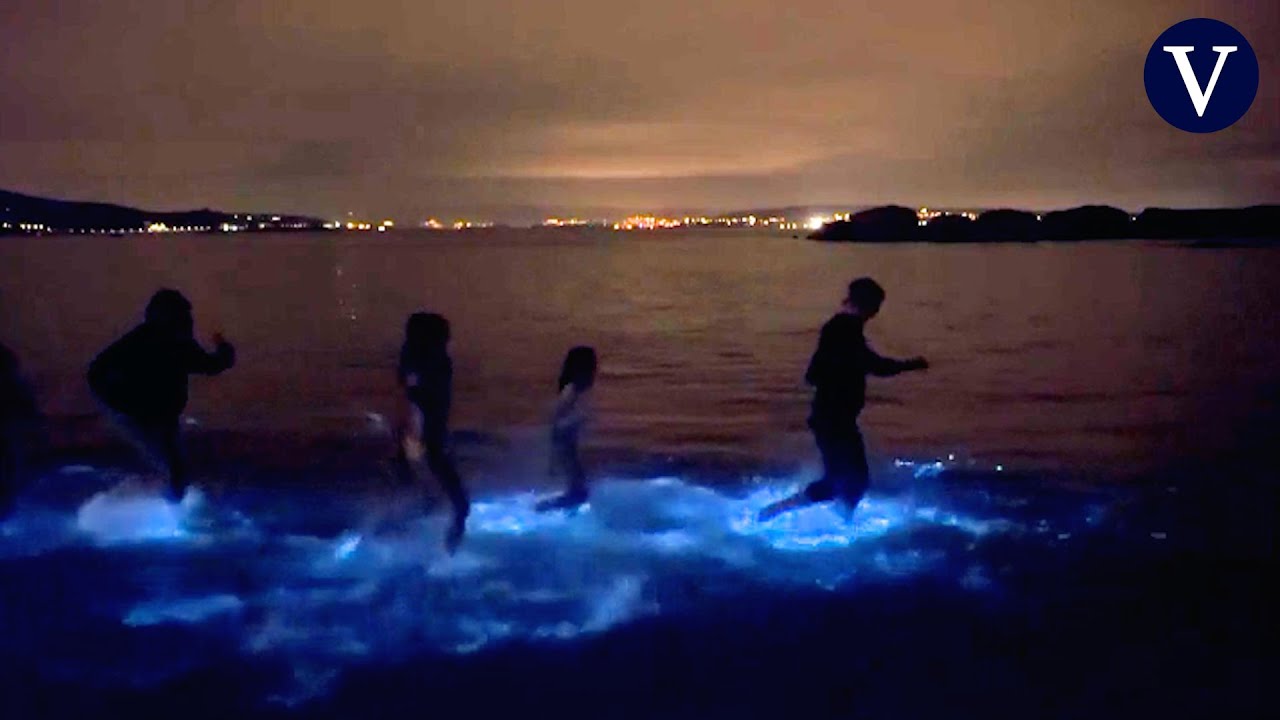 Las algas luminiscentes ti&ntilde;en de azul la Costa da Morte