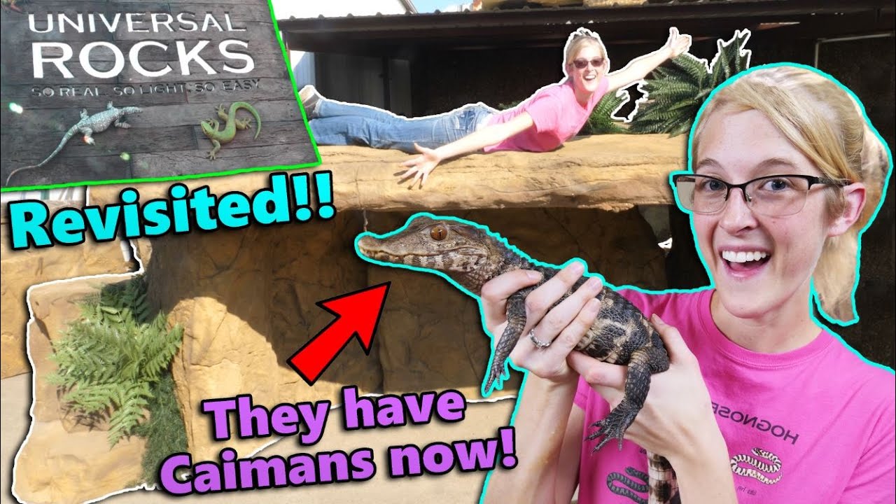 Visiting Universal Rocks to Pickup our Zoo Decor!