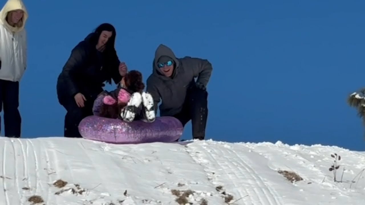 Kids enjoying the snow in Fayetteville
