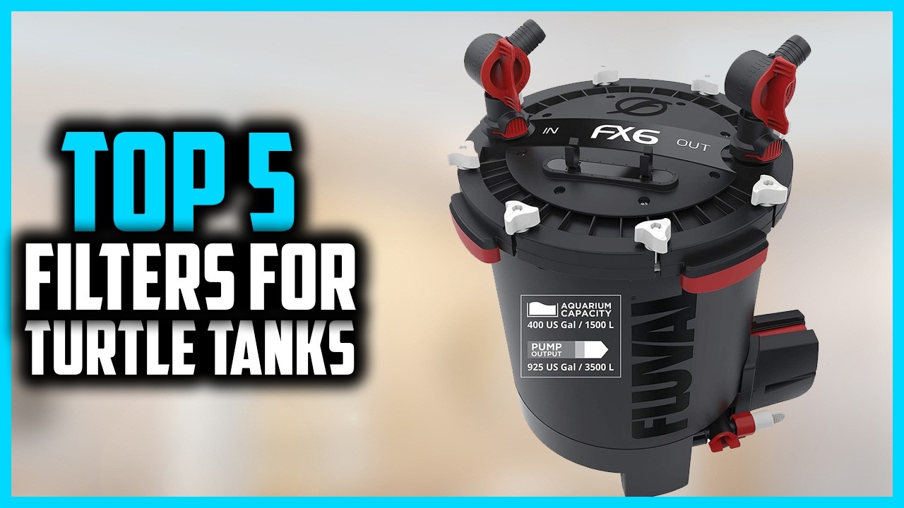 ✅ Top 5 Best Filters for Turtle Tanks 2026