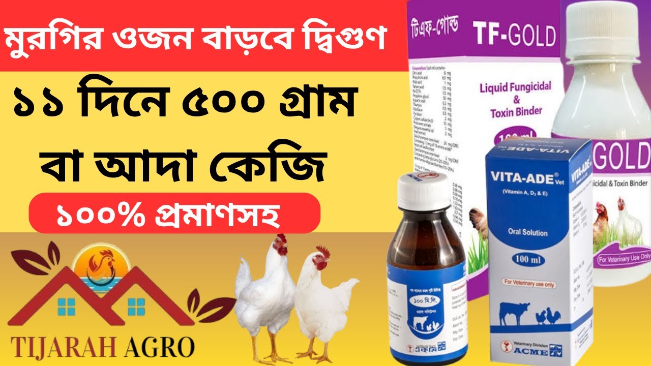 ব্রয়লার মুরগির ওজন দ্রুত বাড়ানোর উপায় 🔥 | কোন ওষুধ খেলে মুরগি তাড়াতাড়ি বড় হবে |