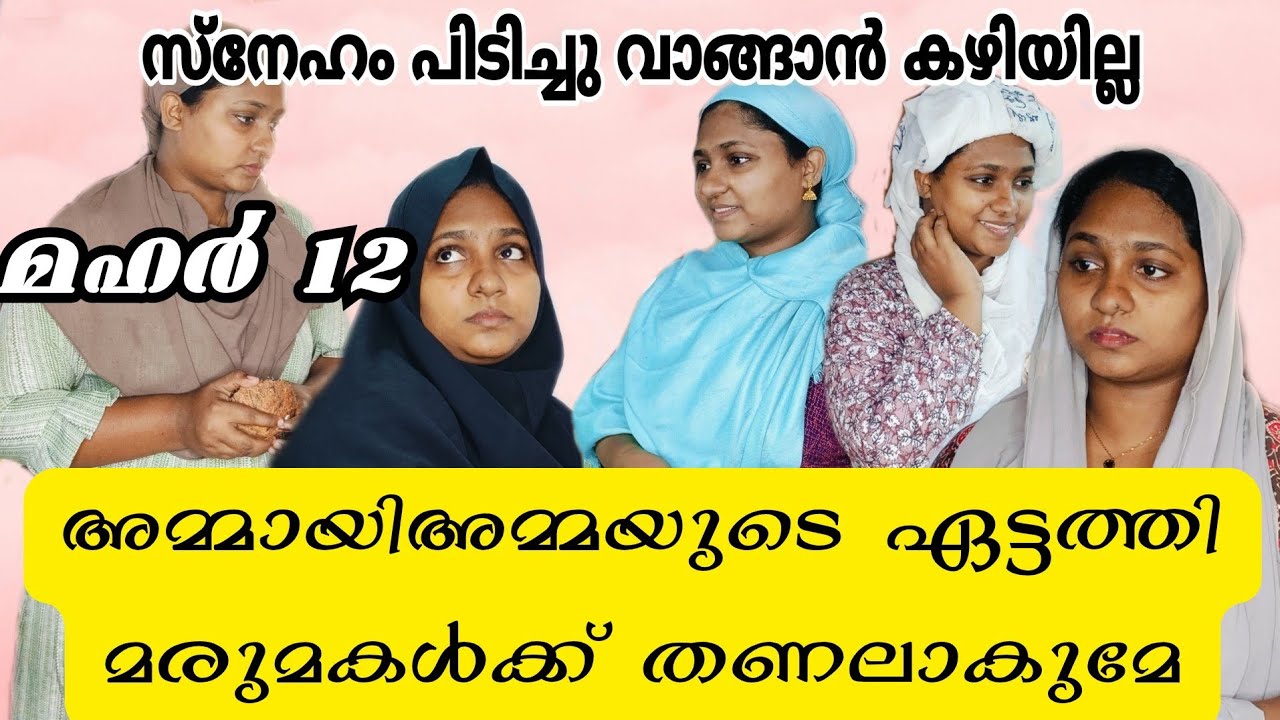 അമ്മായിഅമ്മയുടെ ഏട്ടത്തി മരുമകൾക്ക് തണലാകുമോ 😭