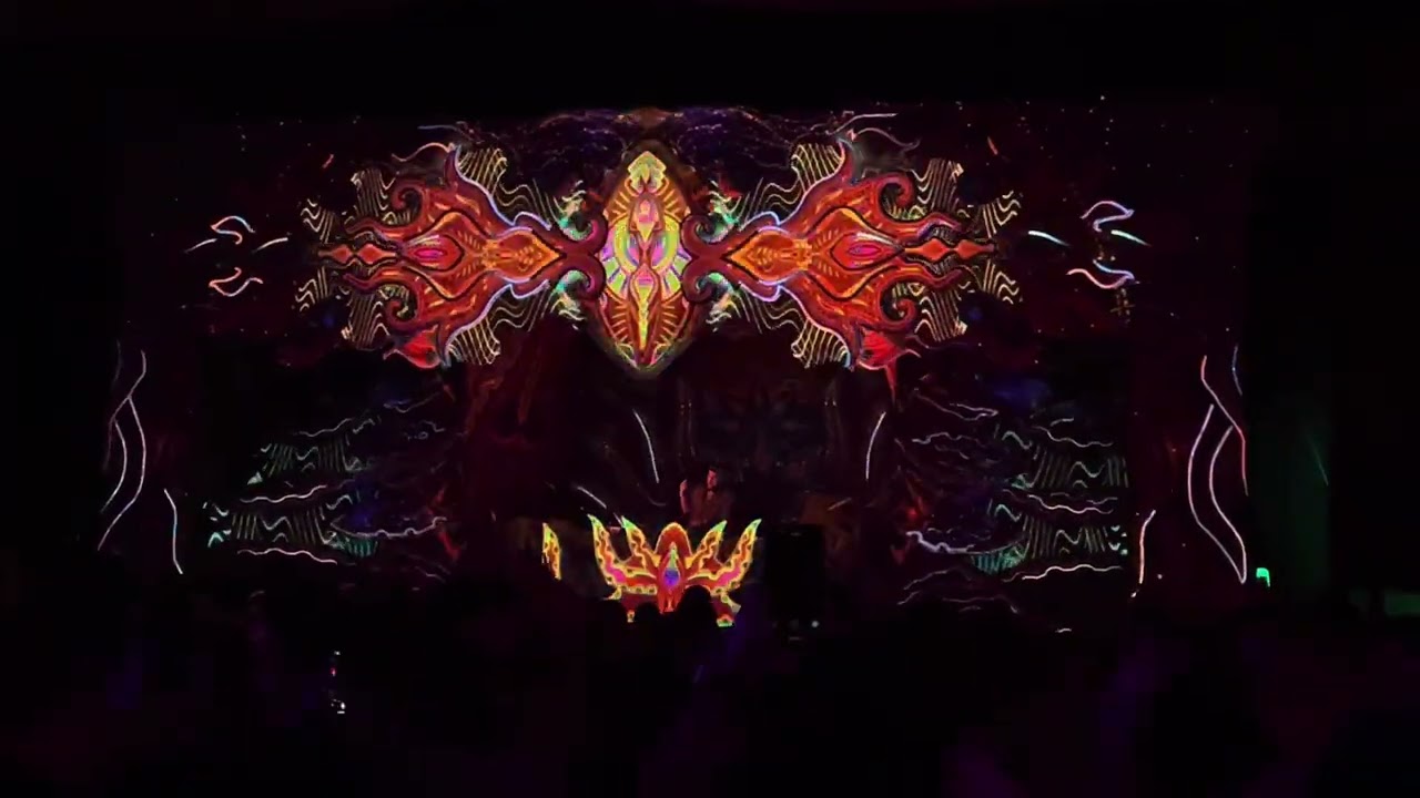 Hallucinogen @ Free Earth Festival 2025 (part 2)