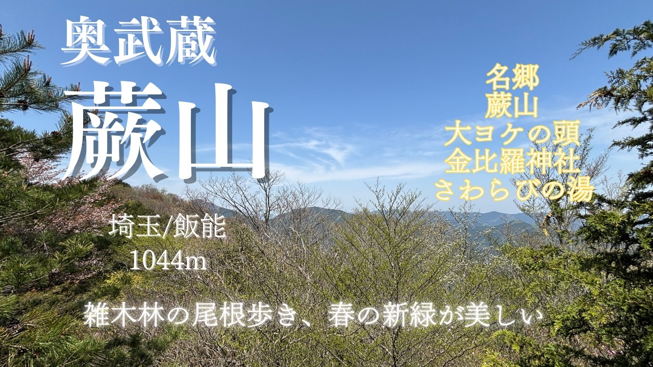 【蕨山/埼玉】雑木林の尾根歩きが続き、春の新緑が美しい