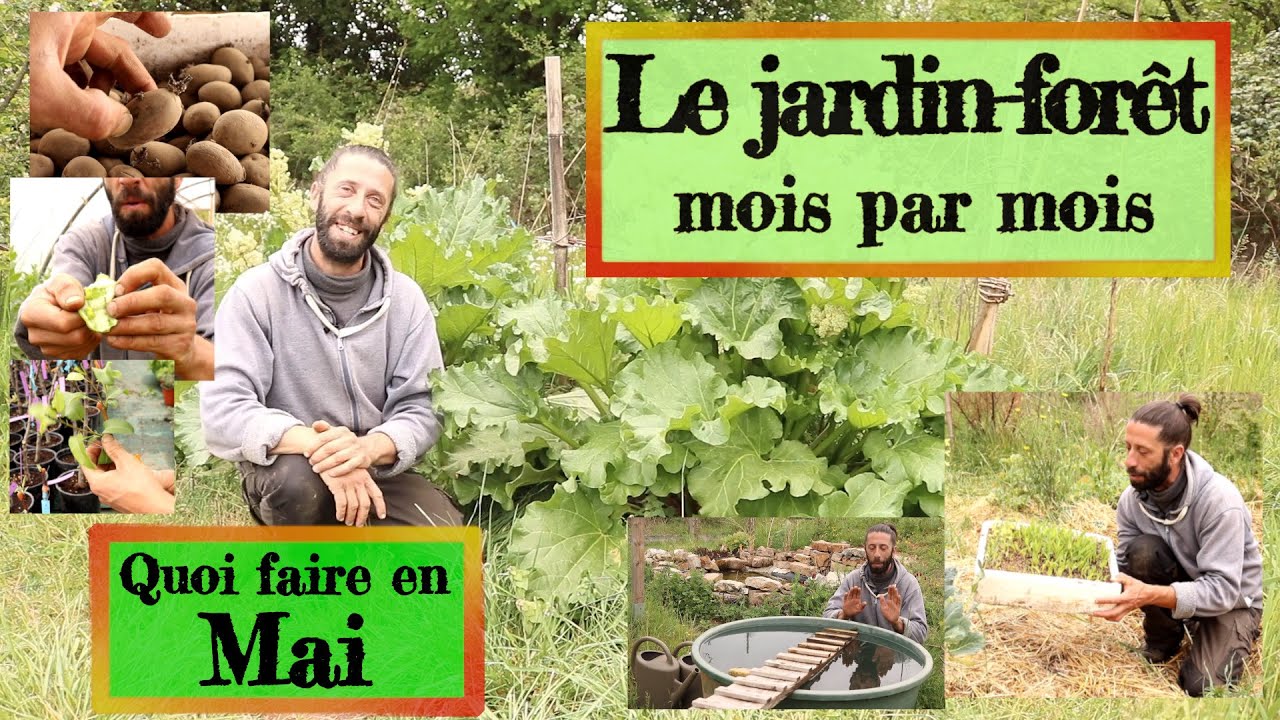 Jardin foret en Permaculture. Que faire en Mai ?