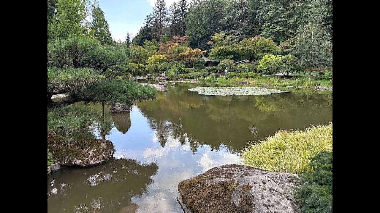 Seattle Japanese Garden Tour & Review—September 2025