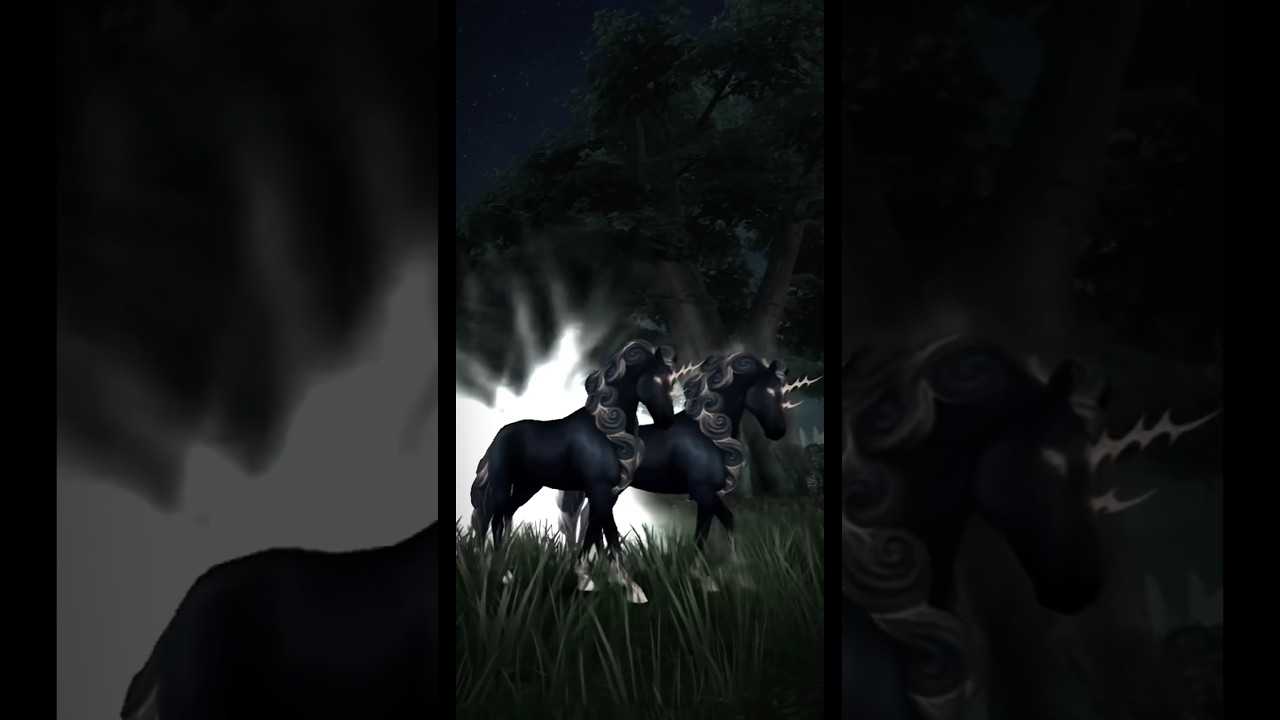 &ldquo;Zeus&rdquo;  #horse #club #ssoclub #edit #sso #magichorse