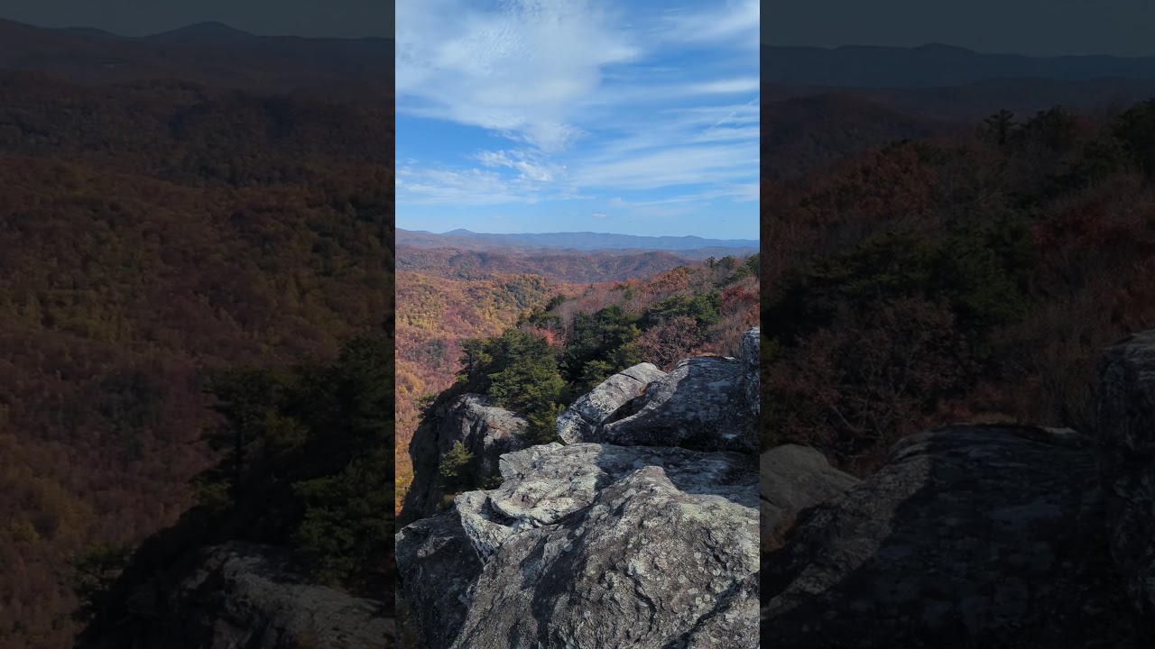 Big Lost Cove Cliffs
