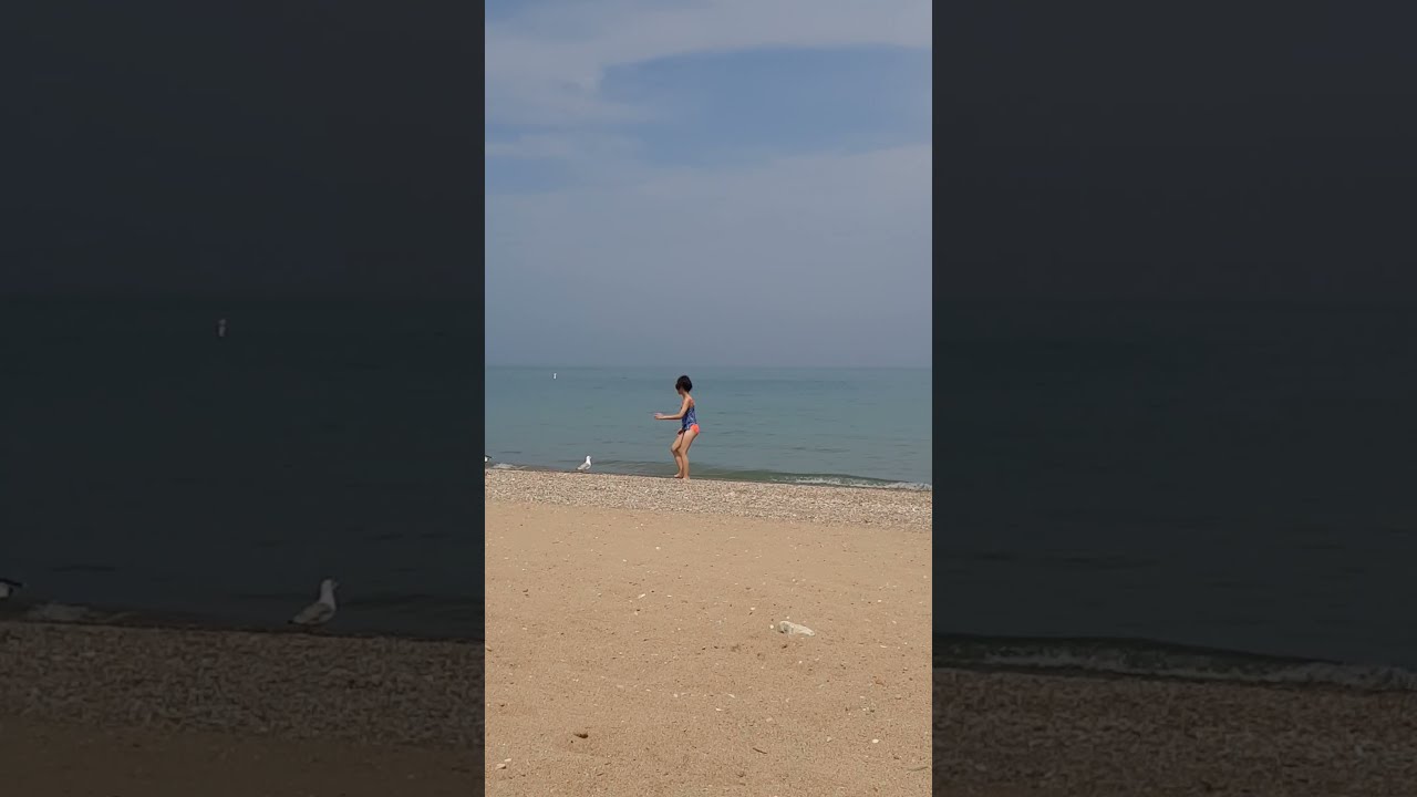 GLENCOE BEACH IN ILLINOIS / CLEAN, BEAUTIFUL  AND ONE OF THE SAFEST CITY IN THE US TO VISIT #shorts