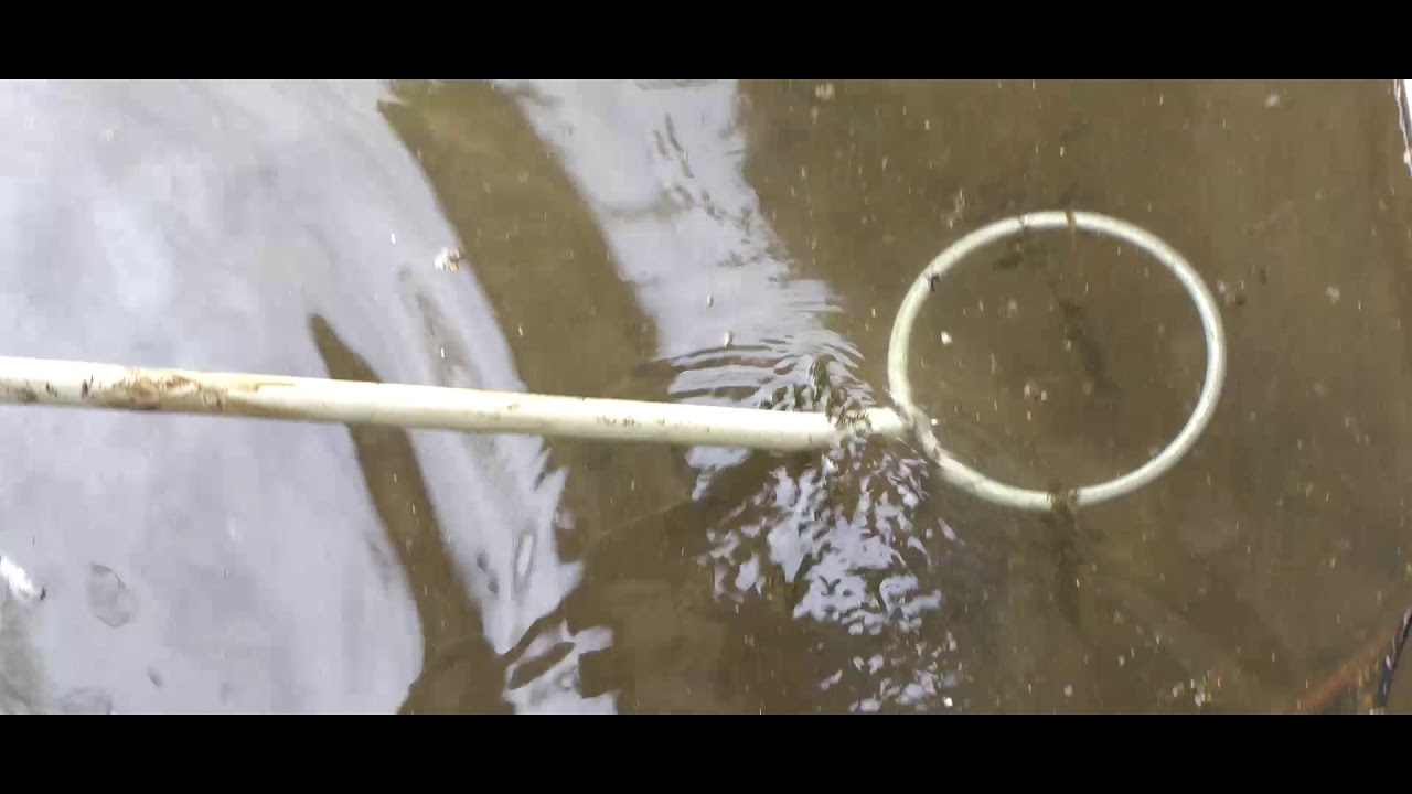 Création d'une passe à poisson - ex-usine St Michel à Amiens