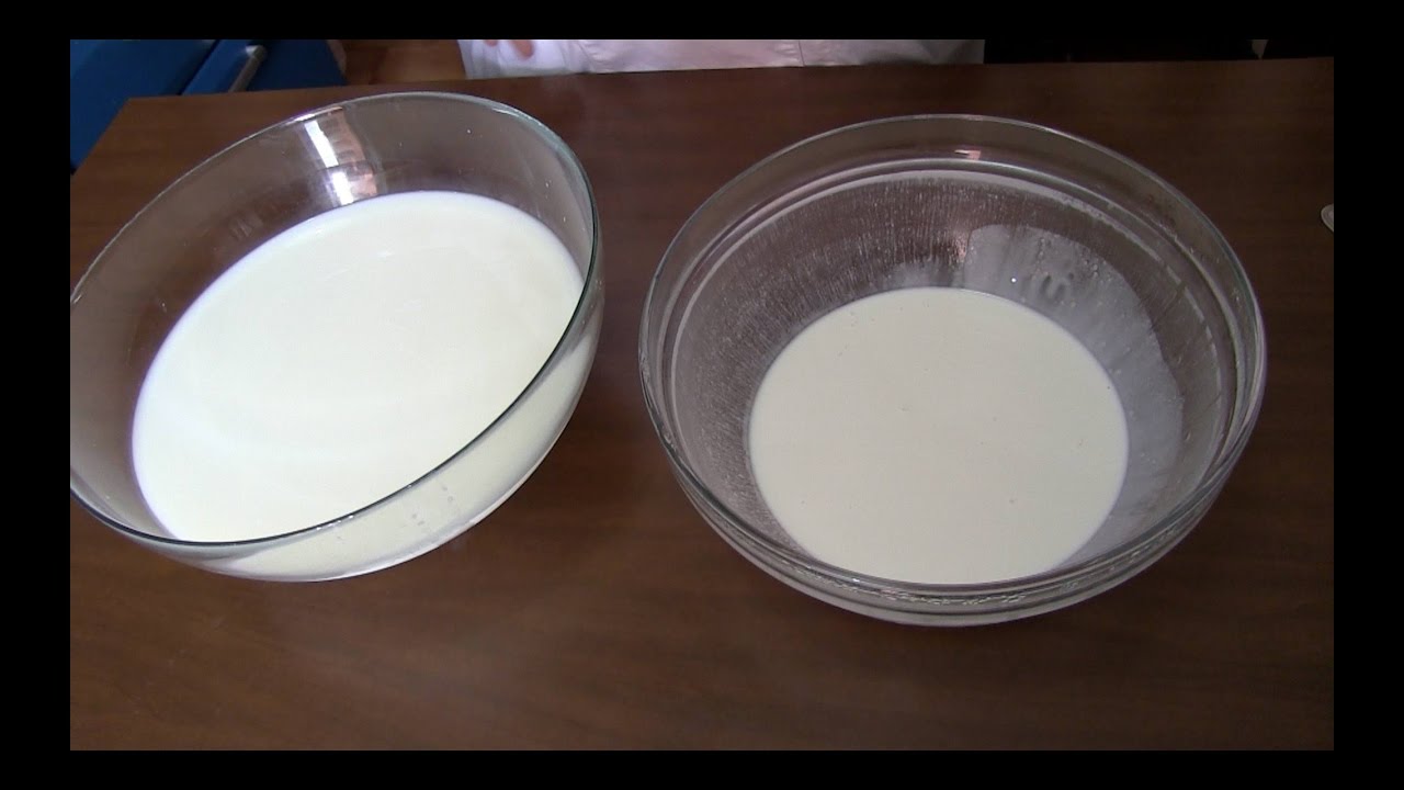 Come Ottenere la Panna per Affioramento del Latte