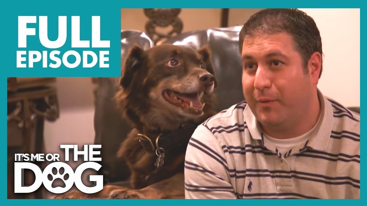 The Loves of His Life | Season 1 Episode 17 | It's Me Or The Dog US