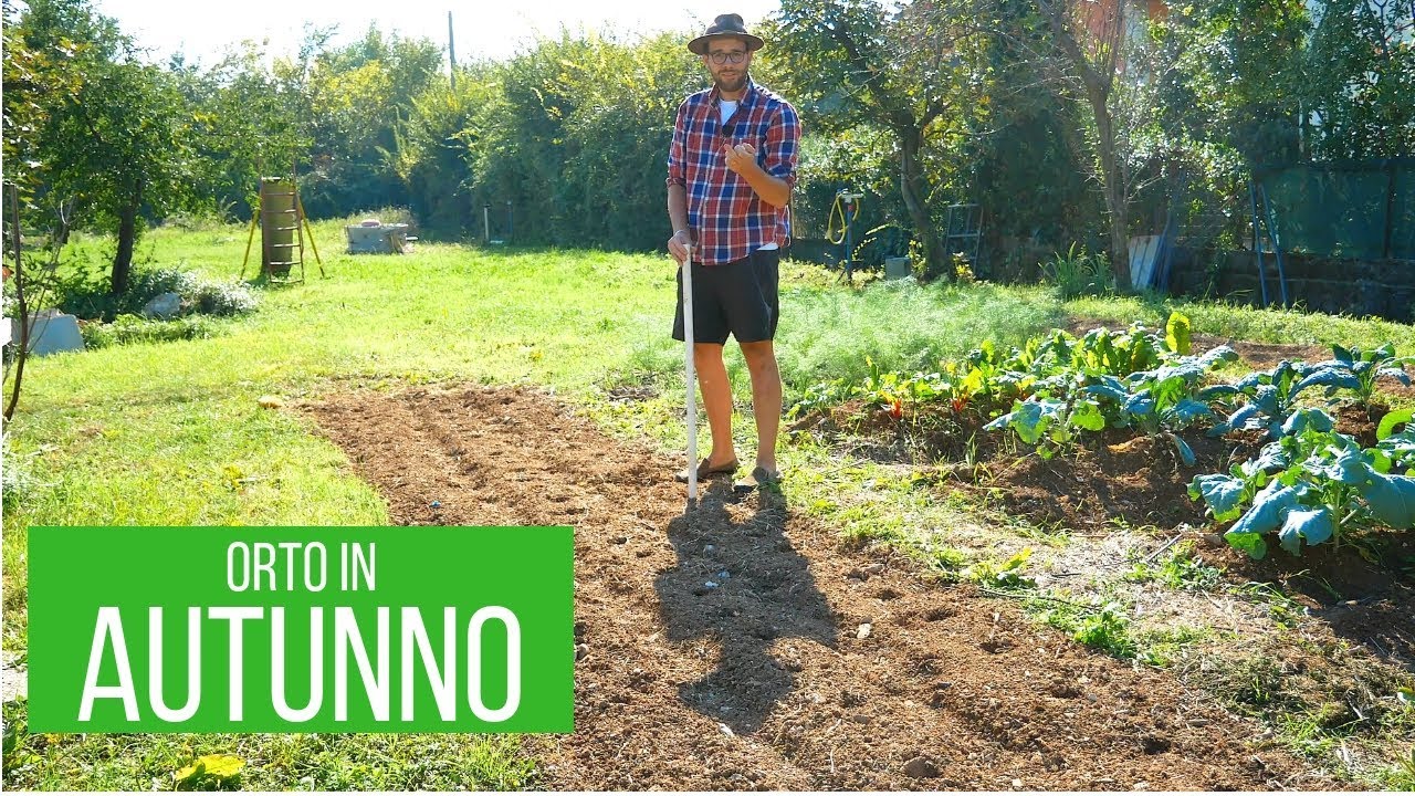 LAVORI nell'orto a SETTEMBRE